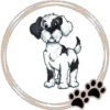 Perritos  Cute ✺3🇻🇪 12
