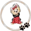 Perritos  Cute ✺3🇻🇪 13