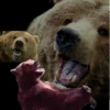 Mad Laugh 5