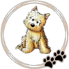 Perritos  Cute ✺3🇻🇪 15