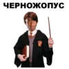 Harry_Potter_stickers 7