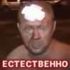 videoforsi 11