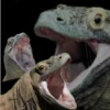 Mad Laugh 8