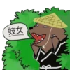 Bearinbushes 6