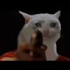 Cats 10