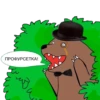 Bearinbushes 7