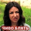videoforsi 12
