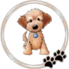 Perritos  Cute ✺3🇻🇪 17