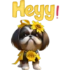Cute🐶DOG🐾cυτE🇲🇽clคร¡cค 9