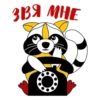 RaccoonZadrot 8