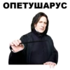 Harry_Potter_stickers 10