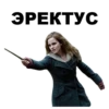 Harry_Potter_stickers 12