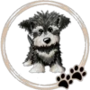 Perritos  Cute ✺3🇻🇪 19