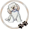 Perritos  Cute ✺3🇻🇪 20