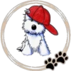Perritos  Cute ✺3🇻🇪 22