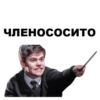 Harry_Potter_stickers 16