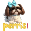 Cute🐶DOG🐾cυτE🇲🇽clคร¡cค 13
