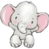 Baby Cute Elephant ✺2🇻🇪 14