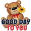 🐻MoRnInG BeAr🐻 10