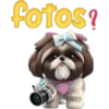 Cute🐶DOG🐾cυτE🇲🇽clคร¡cค 15