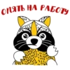 RaccoonZadrot 12