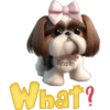 Cute🐶DOG🐾cυτE🇲🇽clคร¡cค 17