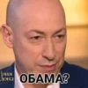 Гордон 6