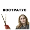 Harry_Potter_stickers 21