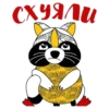 RaccoonZadrot 13