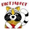 RaccoonZadrot 14