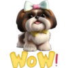 Cute🐶DOG🐾cυτE🇲🇽clคร¡cค 19