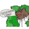 Bearinbushes 21