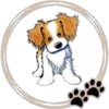 Perritos  Cute ✺3🇻🇪 24