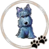 Perritos  Cute ✺3🇻🇪 25