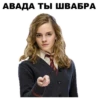 Harry_Potter_stickers 26