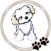 Perritos  Cute ✺3🇻🇪 26