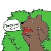 Bearinbushes 24