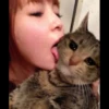 Cats 28