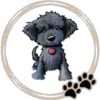 Perritos  Cute ✺3🇻🇪 28
