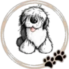 Perritos  Cute ✺3🇻🇪 30