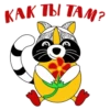 RaccoonZadrot 20