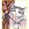 Gatitos💞5🇵🇪Clásica 5