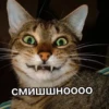 Catsuporolsya 5