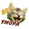 animalSmile 5