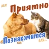 animalSmile 6