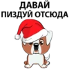 naughty 6
