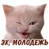 animalSmile 9