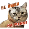 animalSmile 10