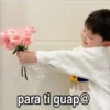 Coreanitas 3🇲🇽 15