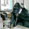cringegorillas 5